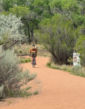 Man riding a bike on an unpaved dirt trail through the trees in Albuquerque's Bosque