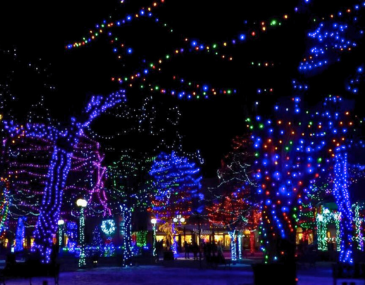 Picture of trees on the Santa Fe Plaza at night lit up with holiday lights